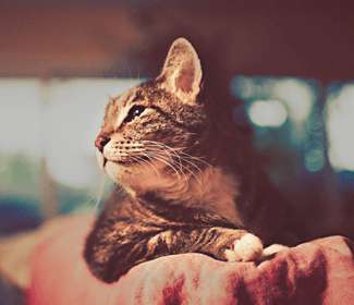 钣金数控加工设备的运行前后需要怎样维护?